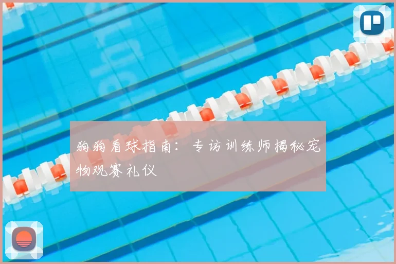 狗狗看球指南:专访训练师揭秘宠物观赛礼仪