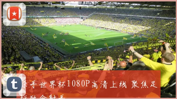 杀手世界杯1080P高清上线 聚焦足坛致命射手