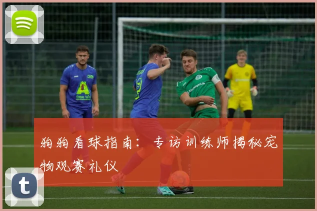 狗狗看球指南:专访训练师揭秘宠物观赛礼仪